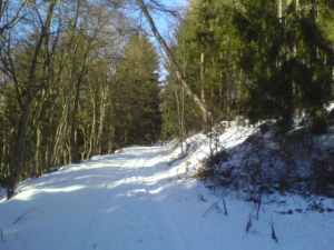 Wundeschöne Wege laden zum Reiten ein.