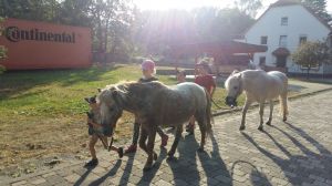 Die Kinder holen die Ponys von der Wiese.